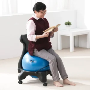 Weplay Adult Ball Chair