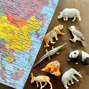Educational Toys Asian Animal Toob