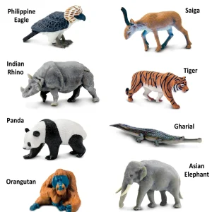 Educational Toys Asian Animal Toob