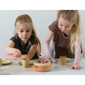 Educational Toys Bio Dinner Set With 22 Pc In A Bio Box