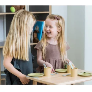 Educational Toys Bio Dinner Set With 22 Pc In A Bio Box