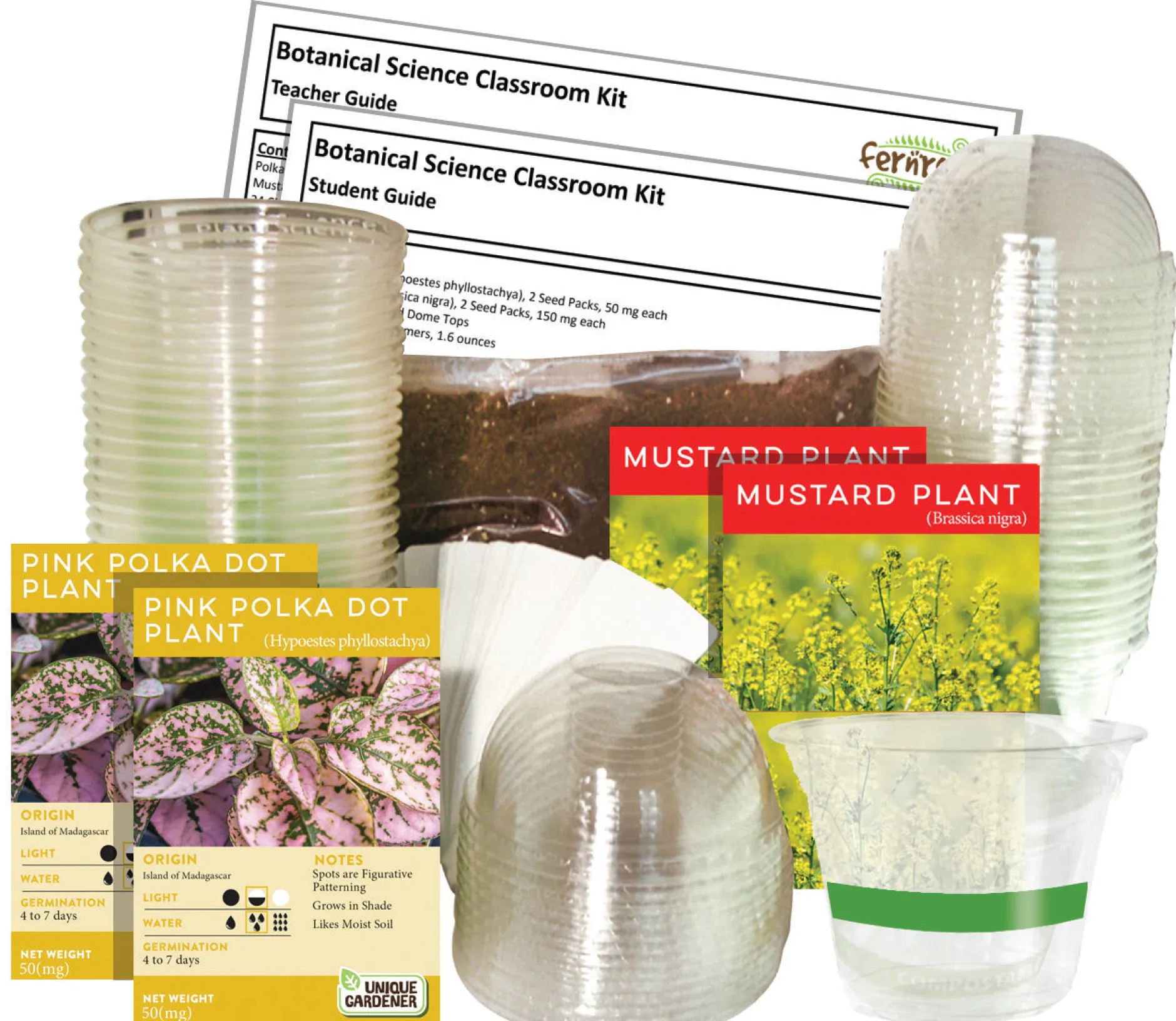 botanical_science_classro_3.webp Silvercircle Botanical Science Classroom Kit