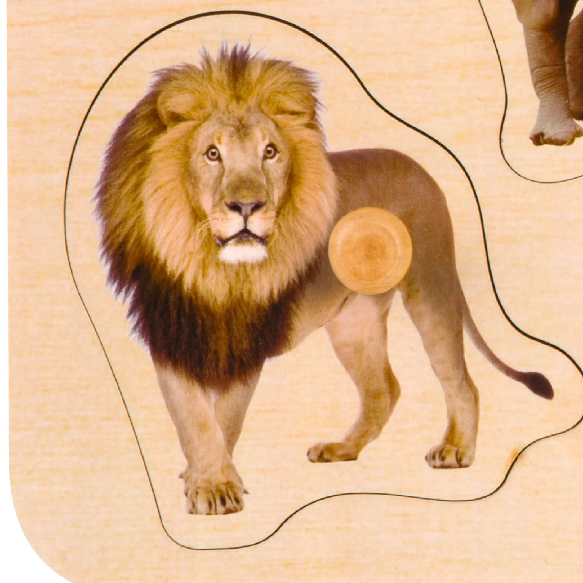classic_world_wild_animal_11.webp Classic World Wild Animal Puzzle