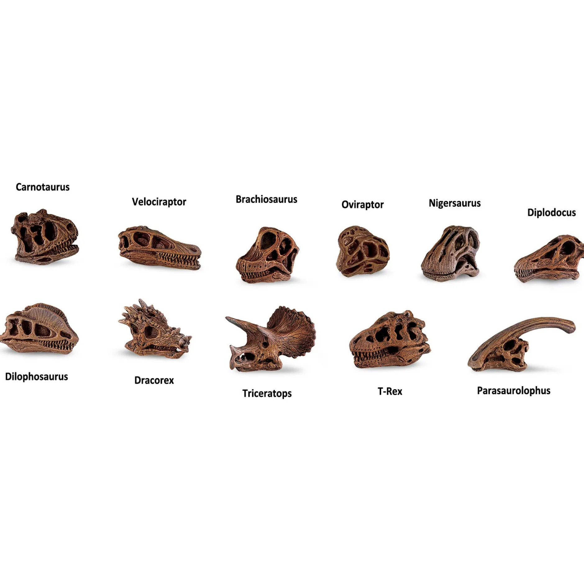 dinosaur_skulls_toob_1.webp Educational Toys Dinosaur Skulls Toob