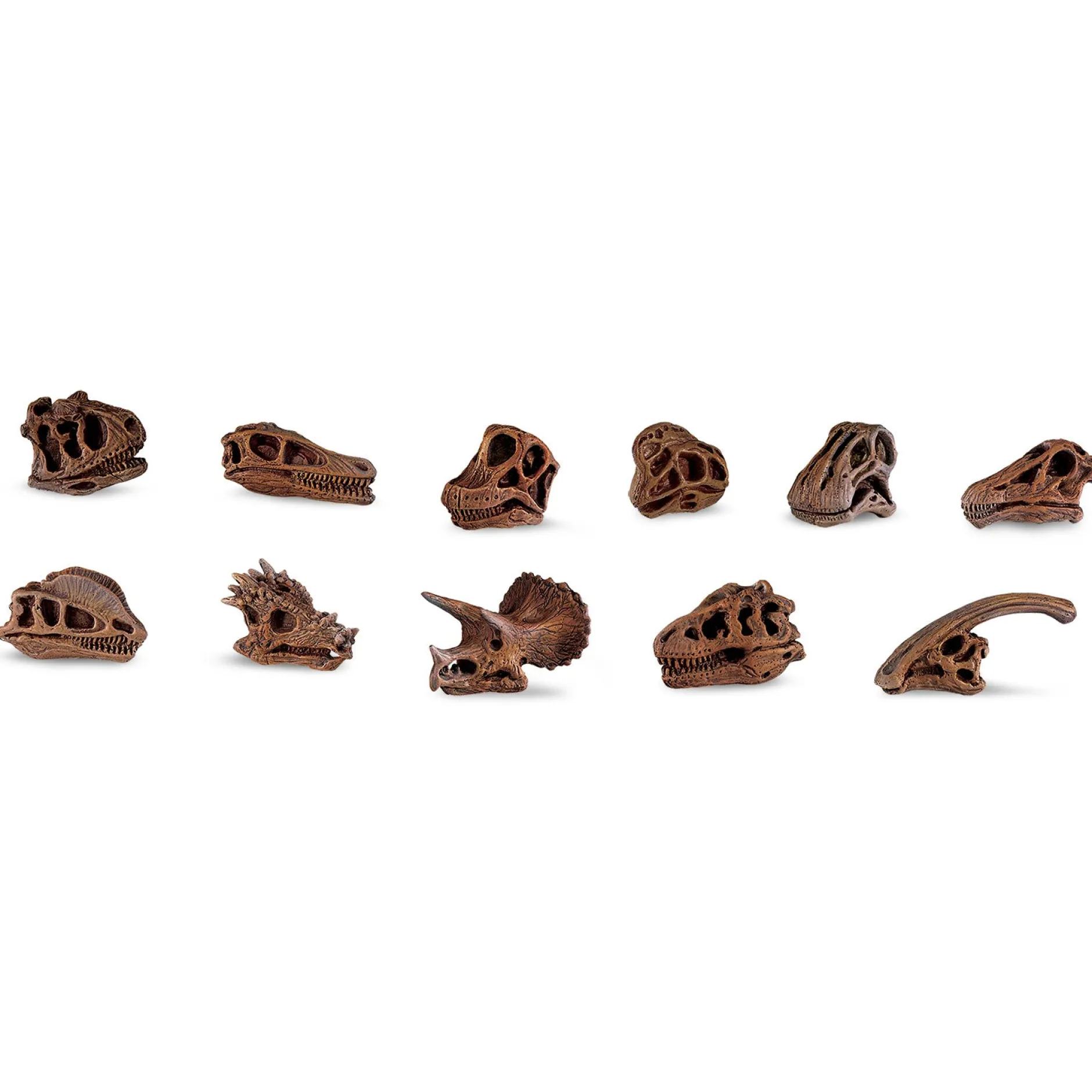 dinosaur_skulls_toob_3.webp Educational Toys Dinosaur Skulls Toob