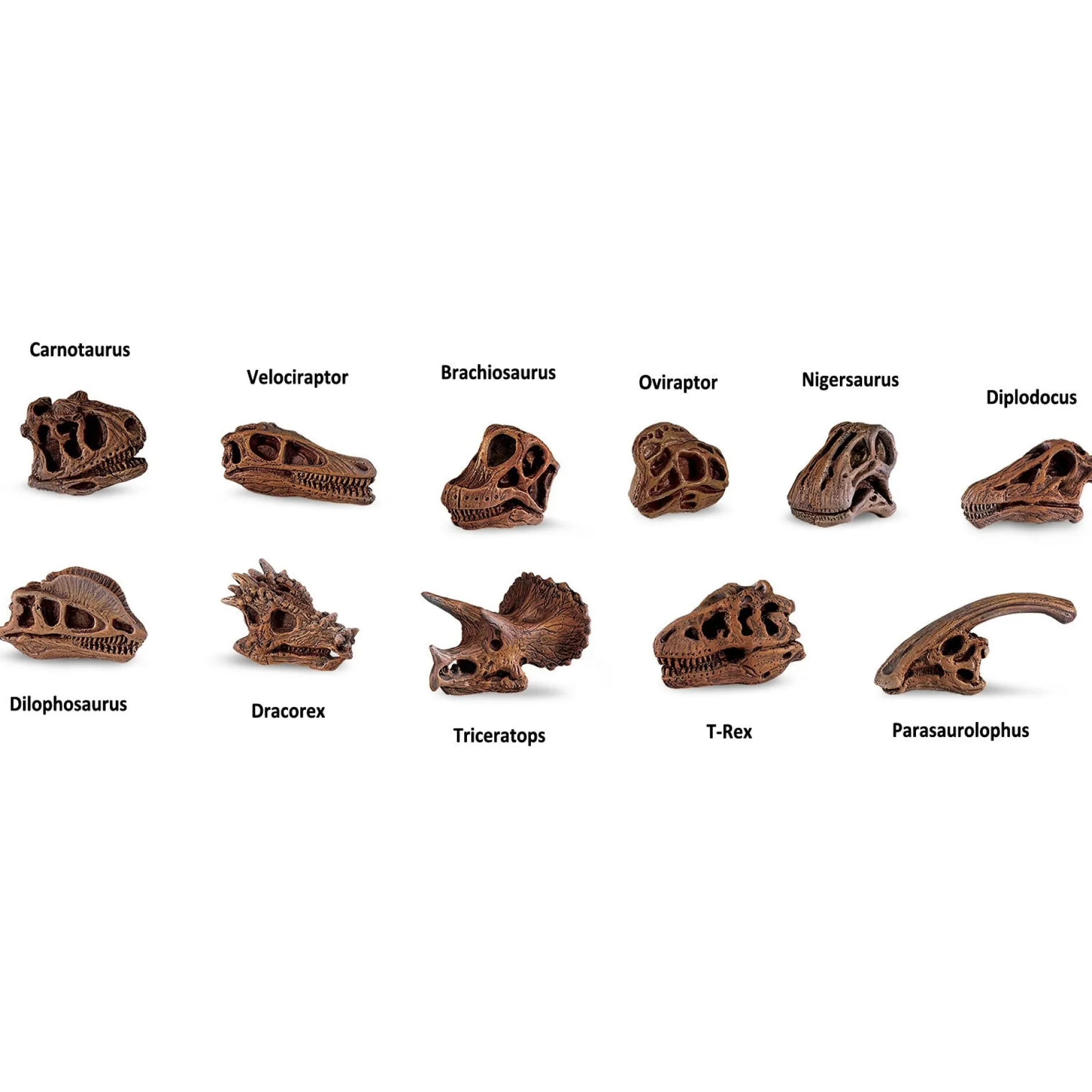 dinosaur_skulls_toob_5.webp Educational Toys Dinosaur Skulls Toob