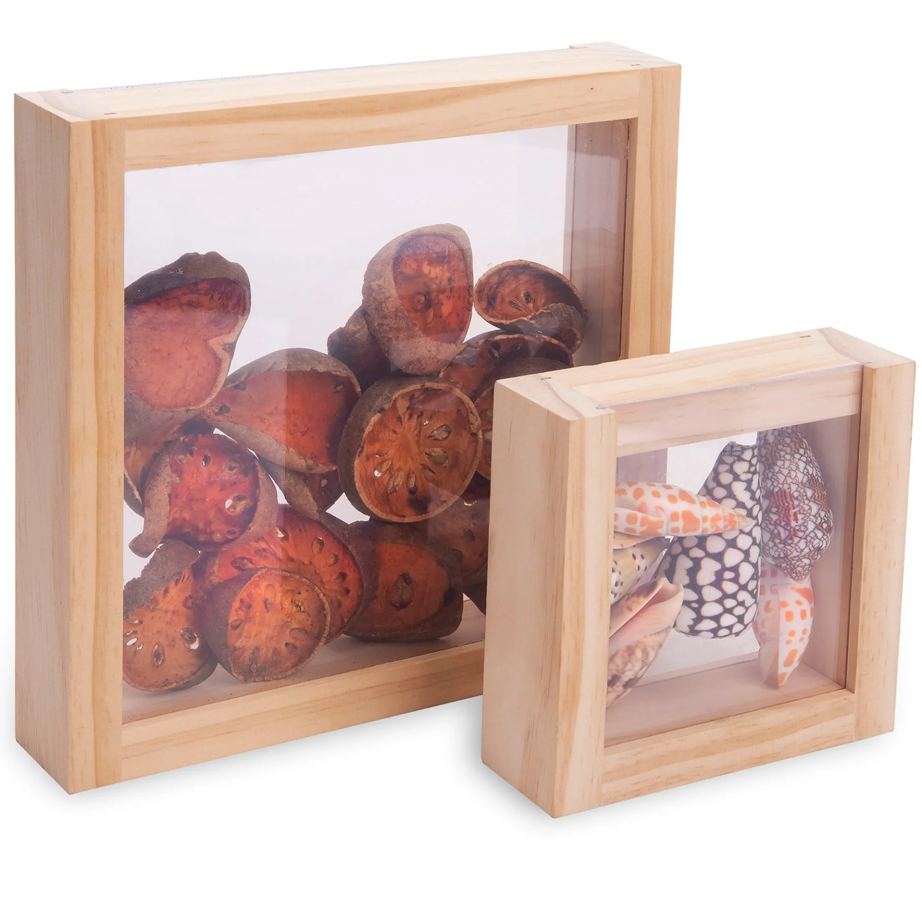 display_boxes__reduced_to_0.webp Educational Toys DISPLAY BOXES - REDUCED TO CLEAR!