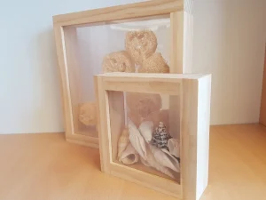 Educational Toys DISPLAY BOXES - REDUCED TO CLEAR!