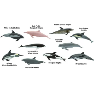 Educational Toys Dolphins Toob
