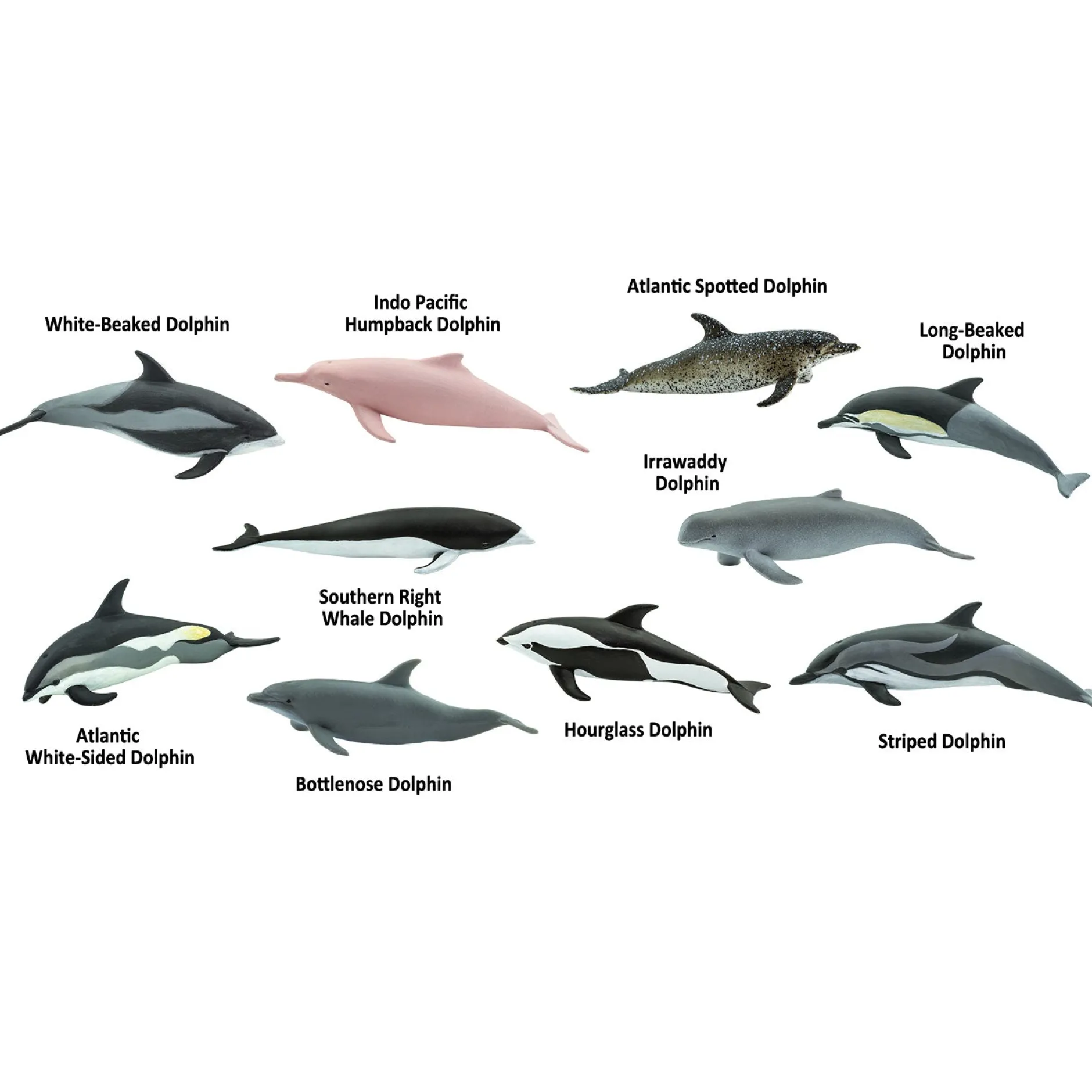 dolphins_toob_1.webp Educational Toys Dolphins Toob