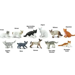 Educational Toys Domestic Cat Toob
