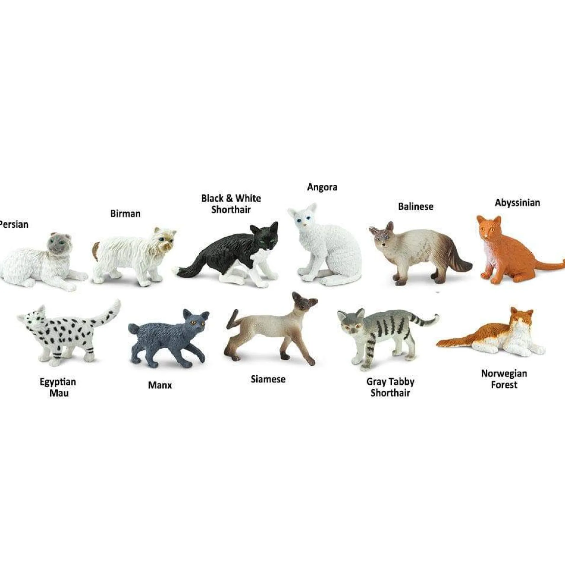 domestic_cat_toob_1.webp Educational Toys Domestic Cat Toob