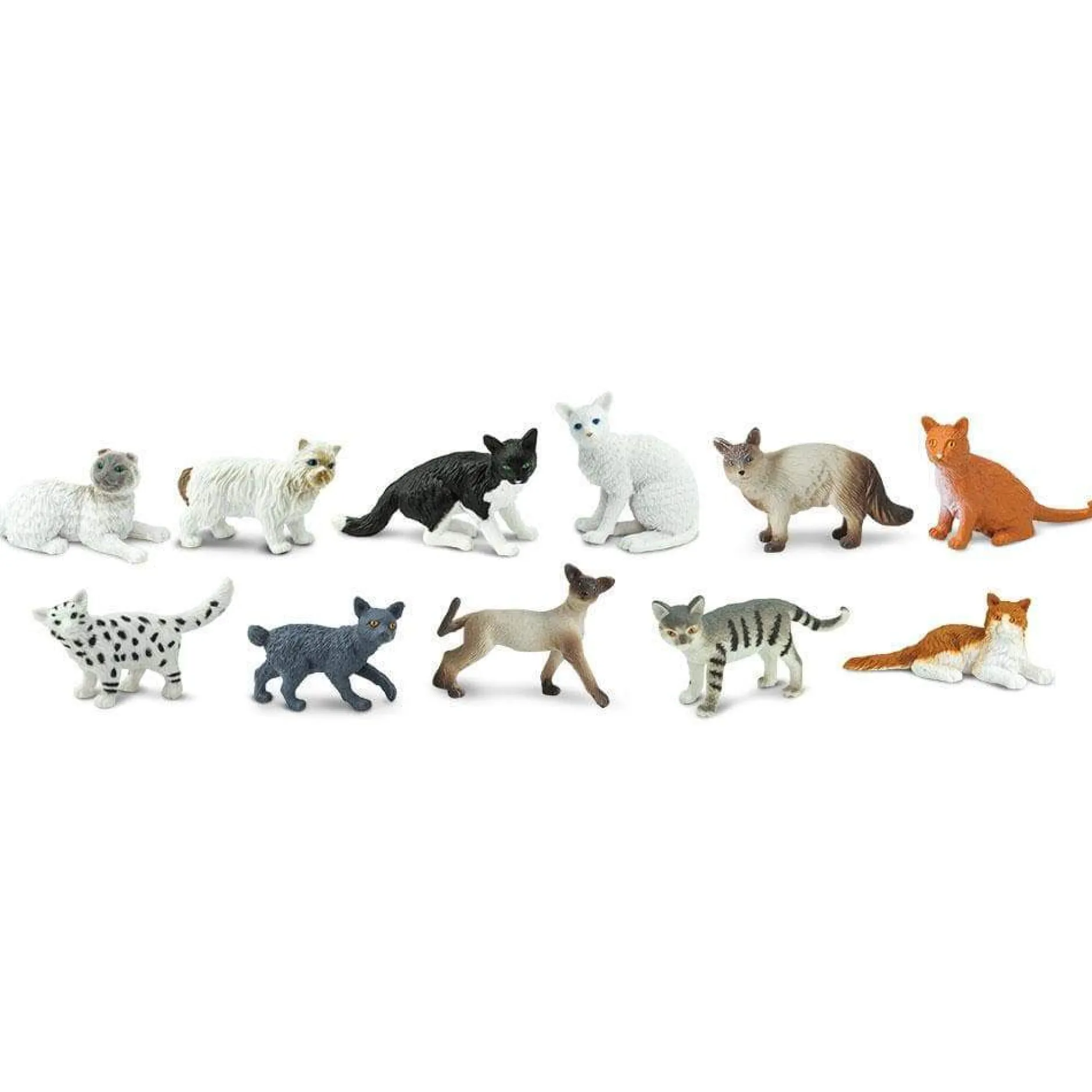 domestic_cat_toob_2.webp Educational Toys Domestic Cat Toob