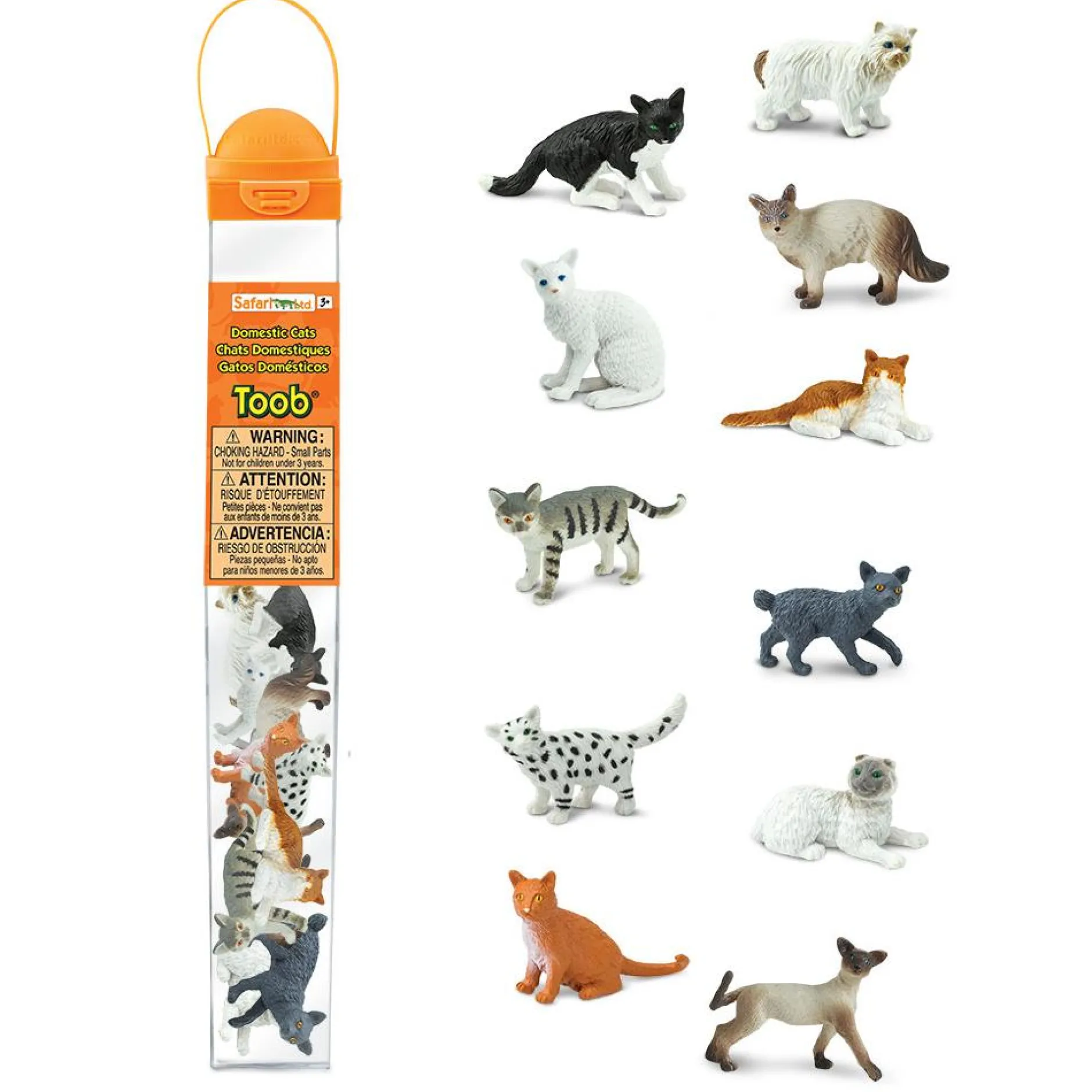 domestic_cat_toob_3.webp Educational Toys Domestic Cat Toob