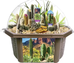Silvercircle Dunecraft Desert Biodome