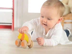 Educational Toys Eco-Friendly Push long Lion - REDUCE TO CLEAR!
