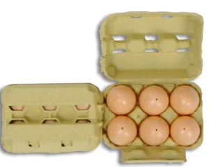 Educational Toys Eggs In A Box Role Play Set
