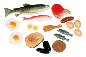 Educational Toys Food Group: Proteins - REDUCED TO CLEAR!