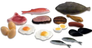 Educational Toys Food Group: Proteins - REDUCED TO CLEAR!