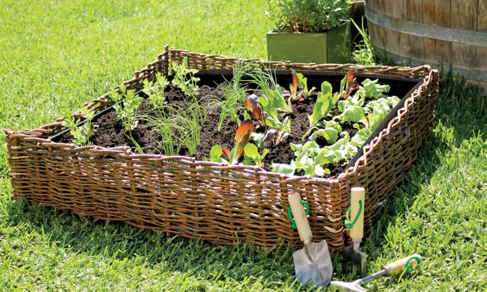 garden_planter__x__x_cm_w_0.webp Educational Toys Garden Planter 80 x 80 x 20cm with Liner