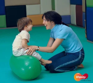 Weplay Gym Roll 80cm X 40cm