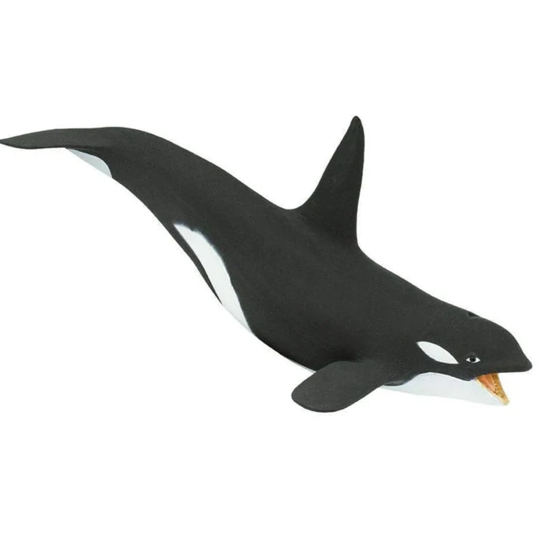 killer_whale_orca_4.webp Safari Killer Whale (Orca)