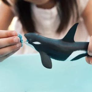 Safari Killer Whale (Orca)