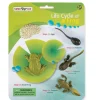 Safari Life Cycle of a Frog