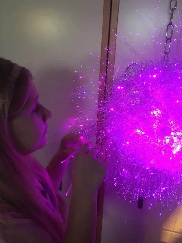 Rover Magical Jelly Fish