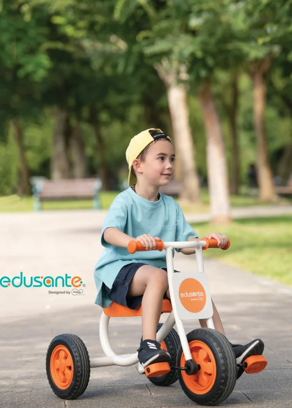 Weplay Medium Trike