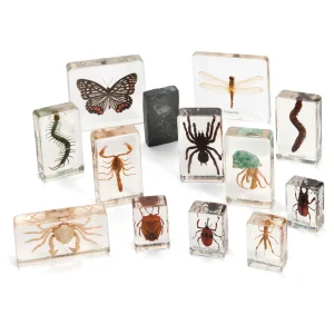 KNOWLEDGE BUILDER Mini Beast Arthropods (Large Set) - Reduced To Clear!