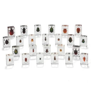KNOWLEDGE BUILDER MINI BEASTS BEETLES AND BUGS (LARGE SET) - Reduced To Clear!