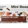 KNOWLEDGE BUILDER Mini Beasts Butterfly Life Cycle - Reduced To Clear!