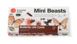 KNOWLEDGE BUILDER Mini Beasts Butterfly Life Cycle - Reduced To Clear!