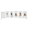 KNOWLEDGE BUILDER Mini Beasts frog Life Cycle - Reduced To Clear!