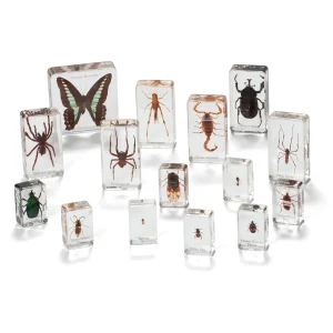 KNOWLEDGE BUILDER Mini Beasts Insects and Spiders (Large Set) - Reduced To Clear!