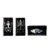 KNOWLEDGE BUILDER MINI BEASTS SKELETON (SMALL SET) - Reduced To Clear!