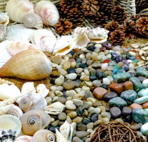 Educational Toys Natural Exploration Treasure Basket