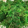 Anthony Peters Natural Moss in a Bag - 100g