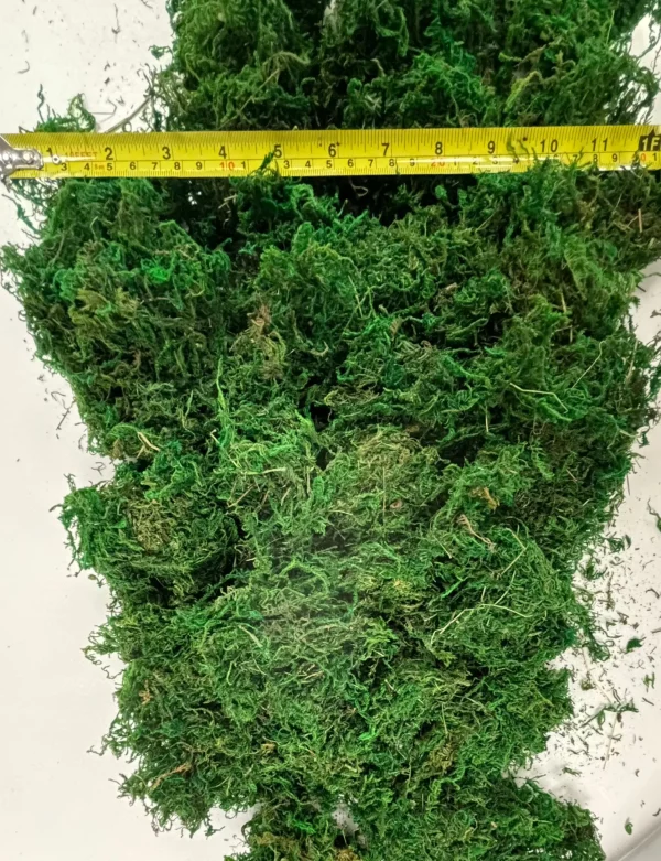 Anthony Peters Natural Moss in a Bag - 100g