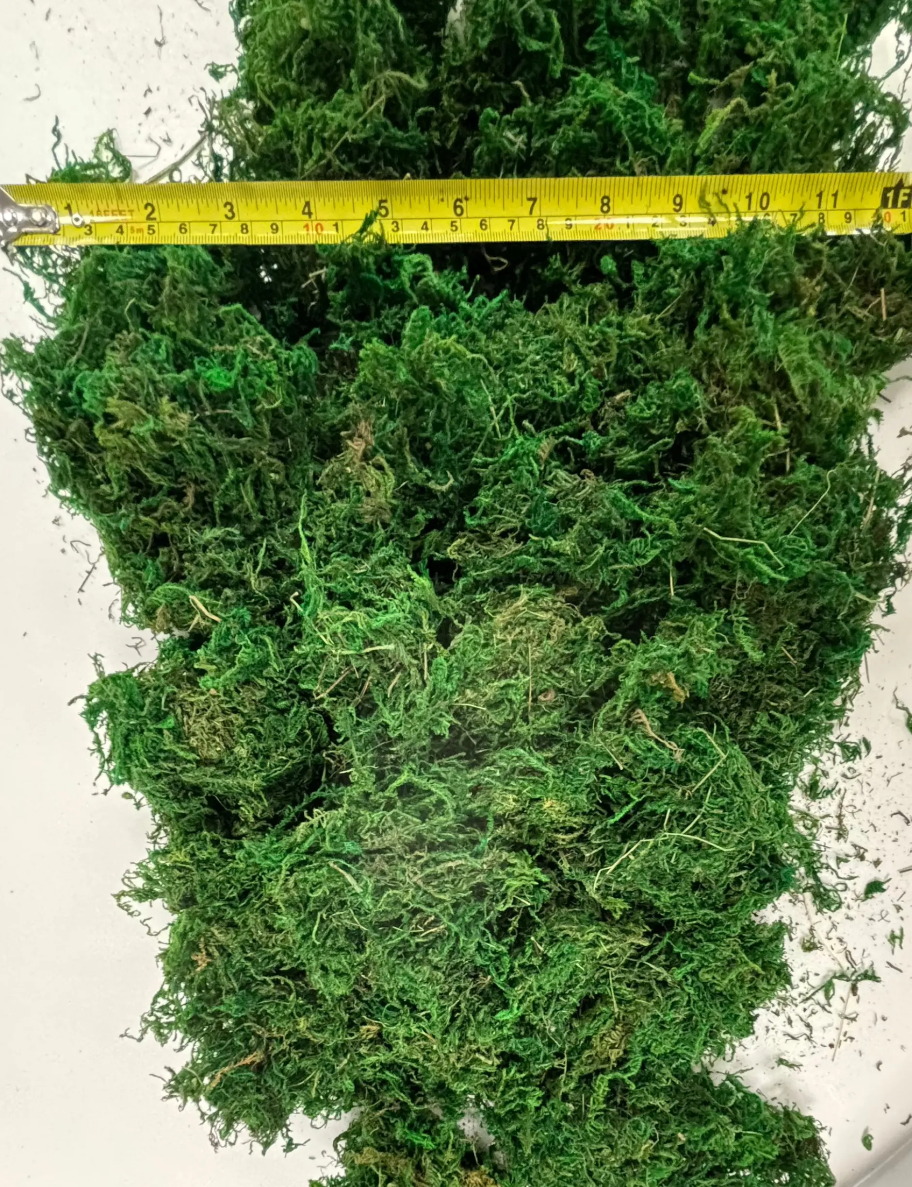 natural_moss_in_a_bag__g_1.webp Anthony Peters Natural Moss in a Bag - 100g