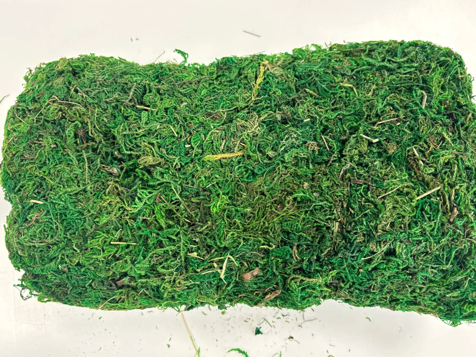 natural_moss_in_a_bag__g_2.webp Anthony Peters Natural Moss in a Bag - 100g