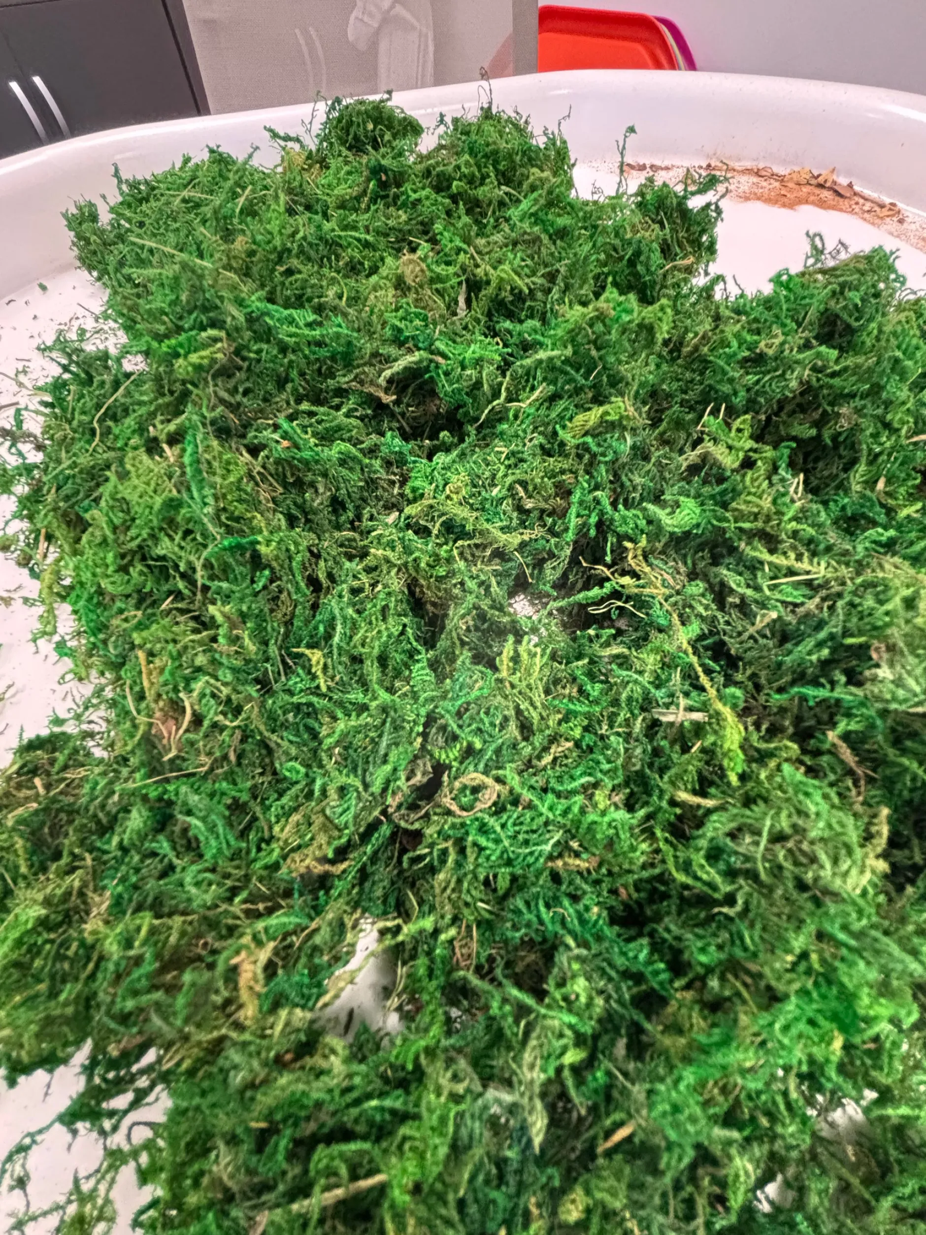 natural_moss_in_a_bag__g_3.webp Anthony Peters Natural Moss in a Bag - 100g