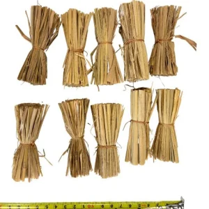 Anthony Peters Natural Wild Grass Bundles - Pack of 10