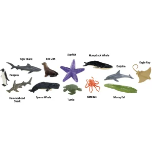 Safari Ocean Creatures