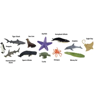 Safari Ocean Creatures