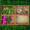 Educational Toys Outdoor Sorting Boxes