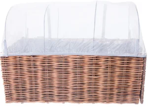 Educational Toys Planter Starter Kit With Covers