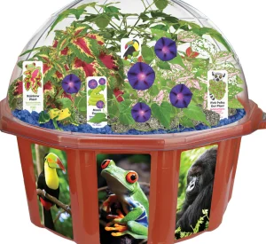 Educational Toys Rainforest Biosphere
