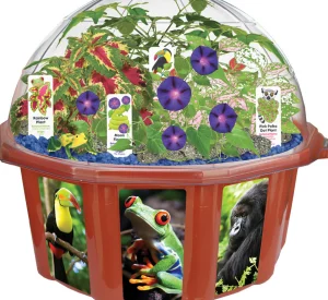 Educational Toys Rainforest Biosphere